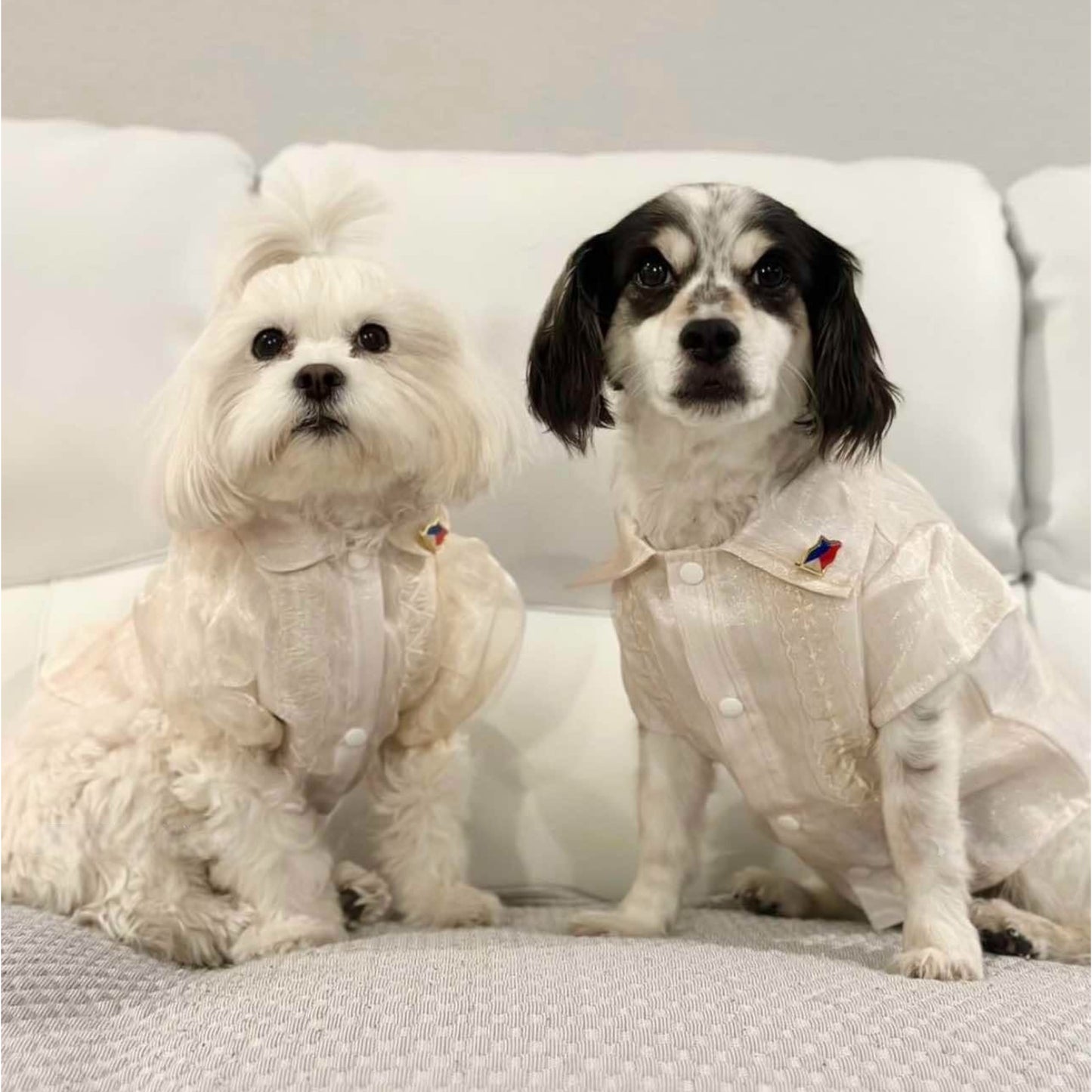 Wearing Fil Dog Cream Barong.