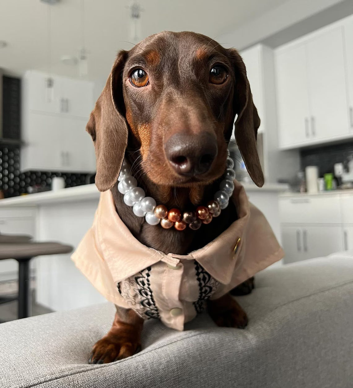 Mocha Black Barong