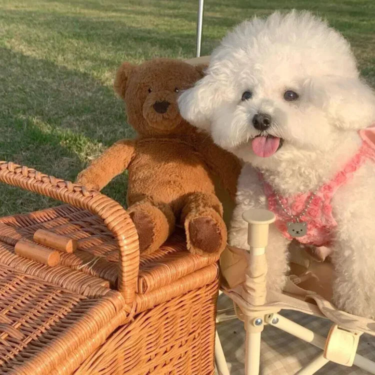 Toile Dress Collection