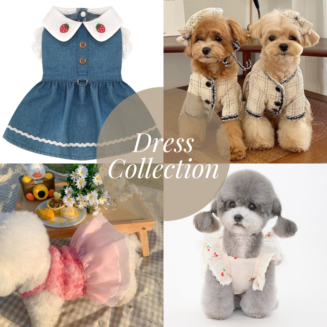 Dresses Collection