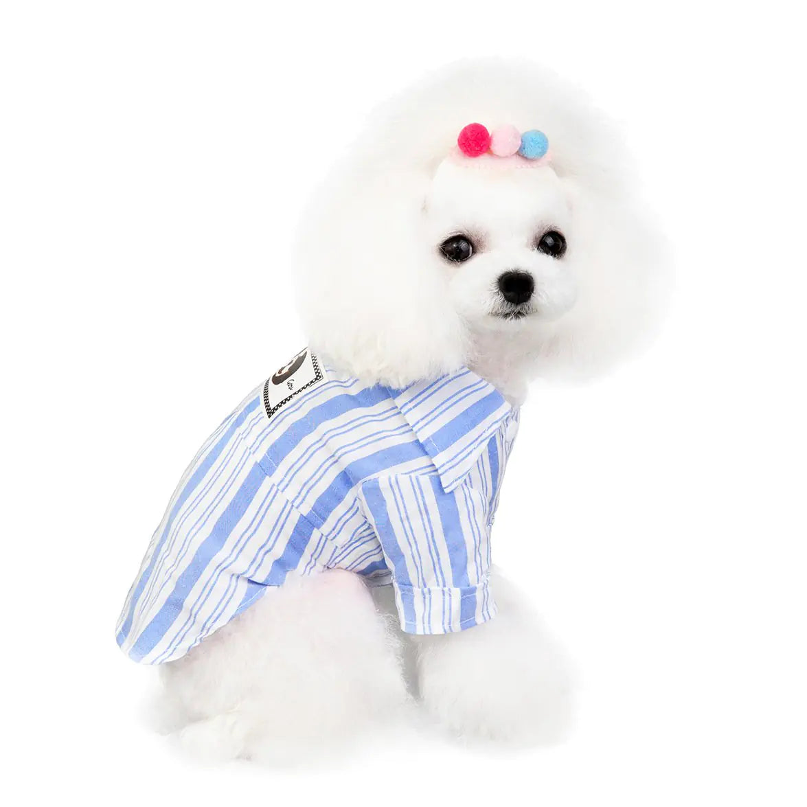 Dolly Shirt | Fil Dog