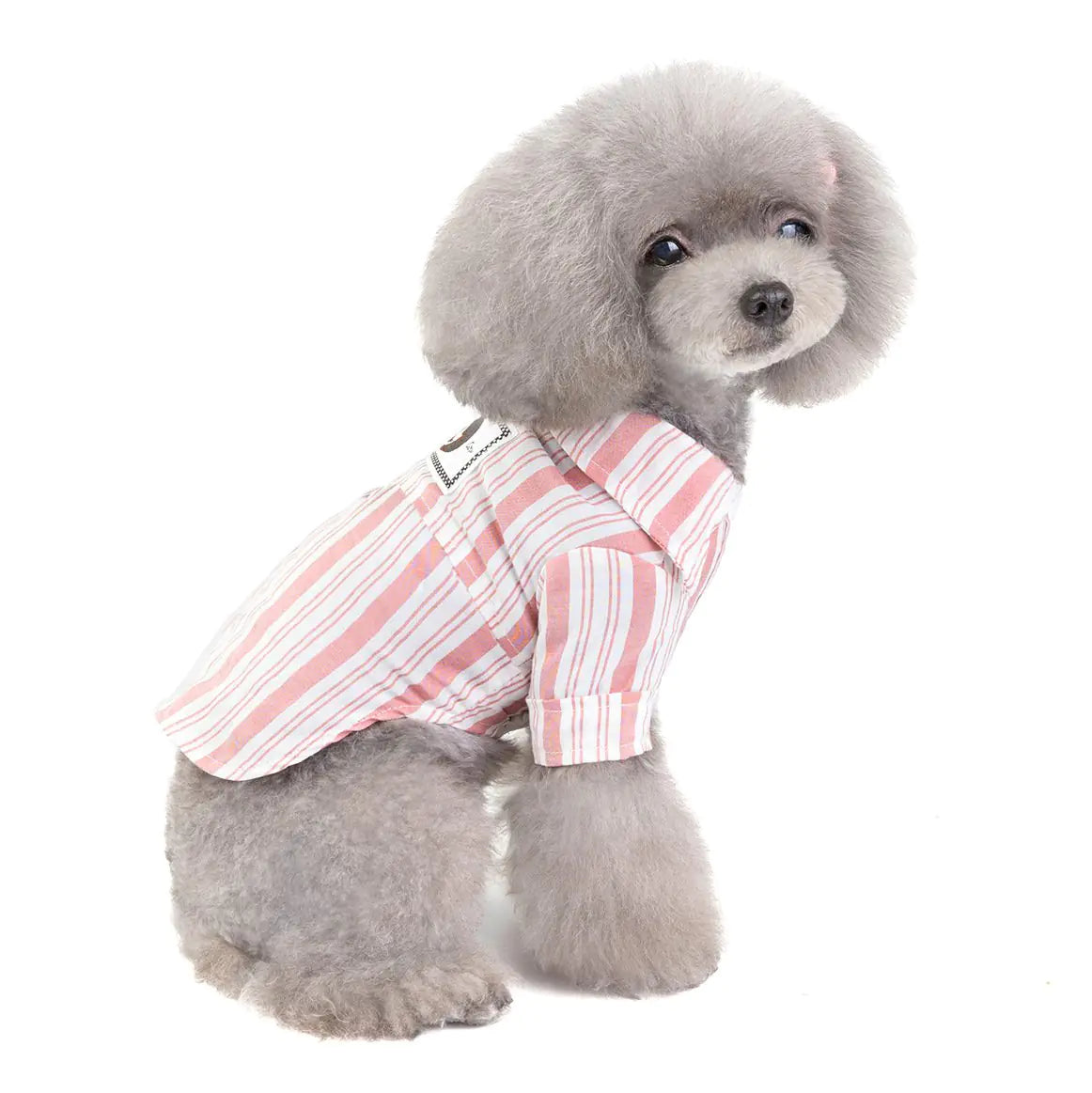 Dolly Shirt | Fil Dog