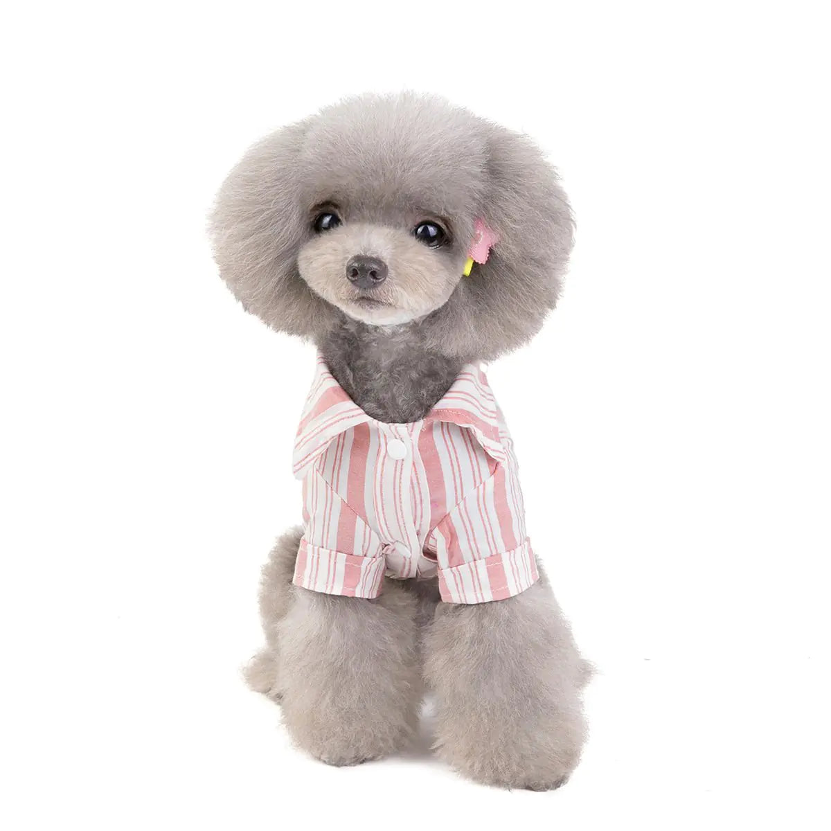 Cute dog shirt – Fil Dog clothing