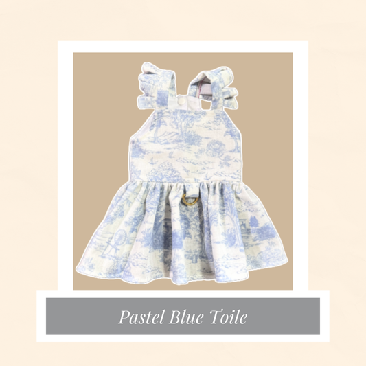 Pastel Blue Toile Dress