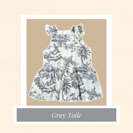 Gray Toile Dress