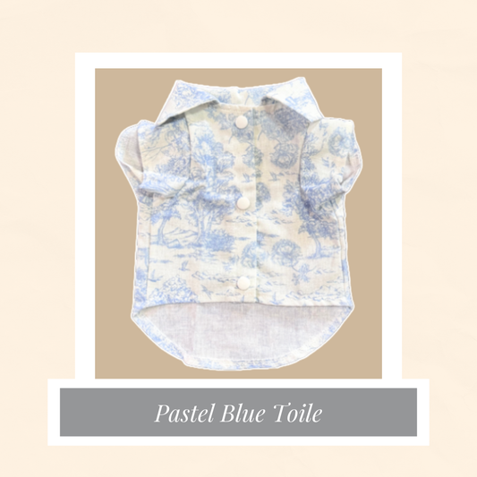 Pastel Blue Toile Shirt