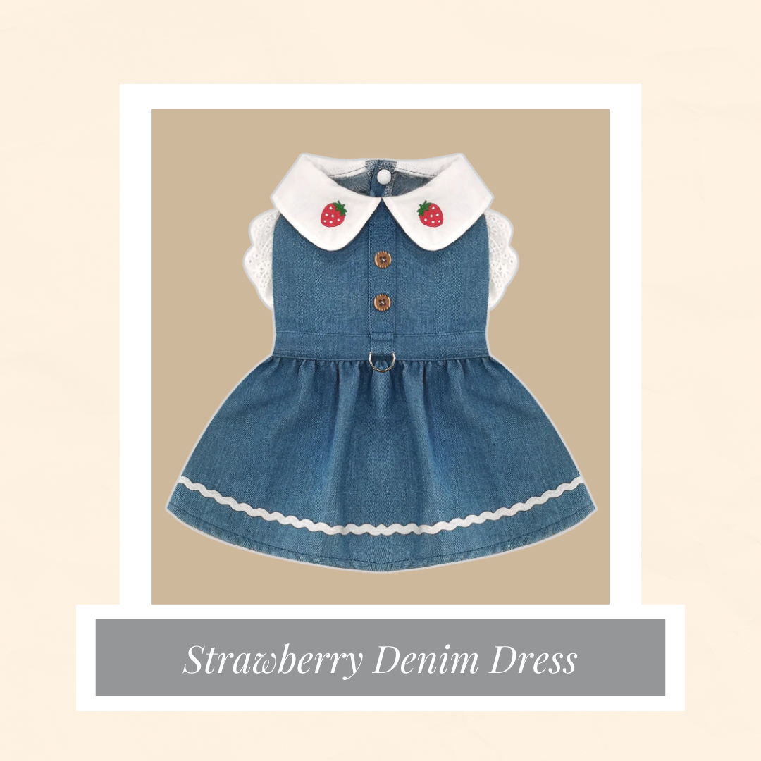 Strawberry Denim Dress