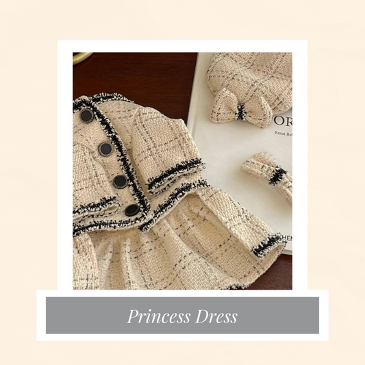 Princess Dress