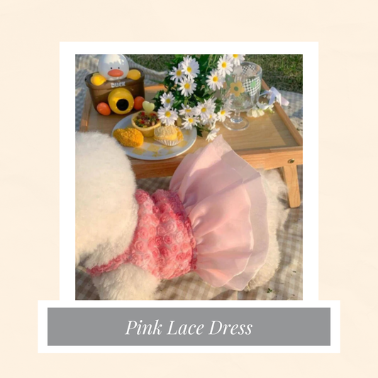 Pink Lace Dress